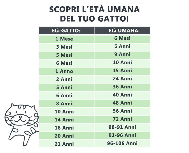 anni gatti umani