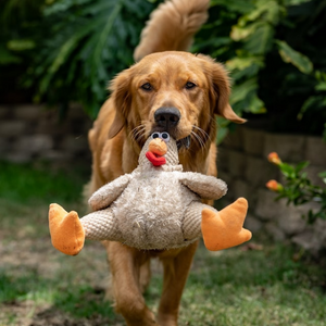 Giochi di attivazione mentale peluche per cani