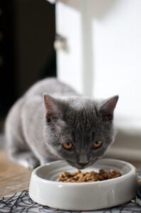 Croccantini per gatti sterilizzati