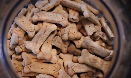Biscottini snack per cani