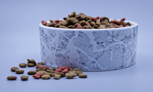 Ciotola con croccantini per gatti