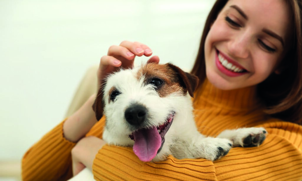 Ansia da separazione cane